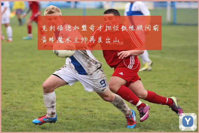 克利福德加盟奇才担任教练顾问前黄蜂魔术主帅再度出山