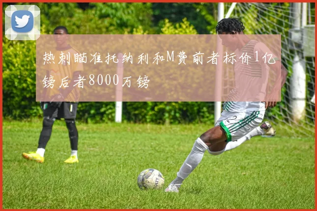 热刺瞄准托纳利和M费前者标价1亿镑后者8000万镑