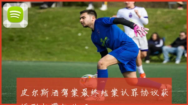 皮尔斯酒驾案最终结案认罪协议获缓刑与罚款处理